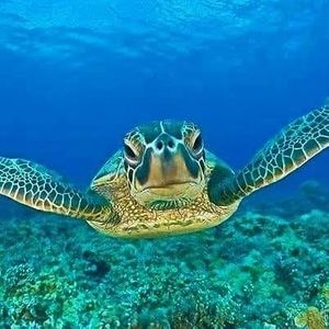 Meet your Posher, Katherine